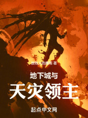 地下城狂乱之天灾降临