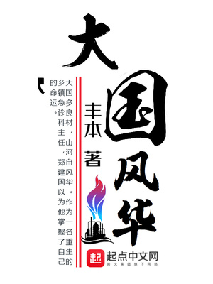 大国风华下载