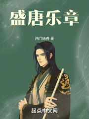 盛唐乐章小说
