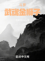 斗罗武魂是冰冻果实的小说