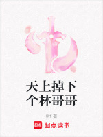 天上掉下个林哥哥 夭夭爱写文