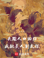 失踪人口回归小说
