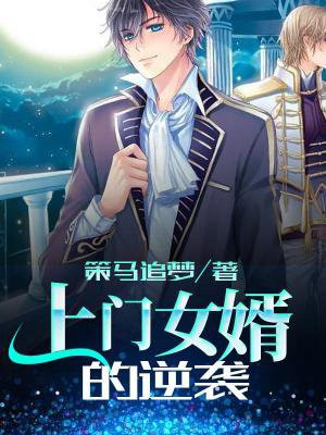 上门女婿小说完整版