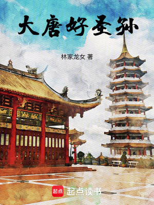 大唐好圣孙免费阅读全文
