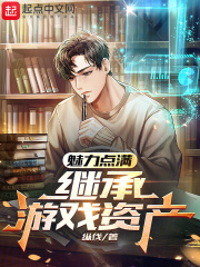魅力点满,继承游戏资产TXT