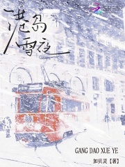 港岛雪夜 涂山