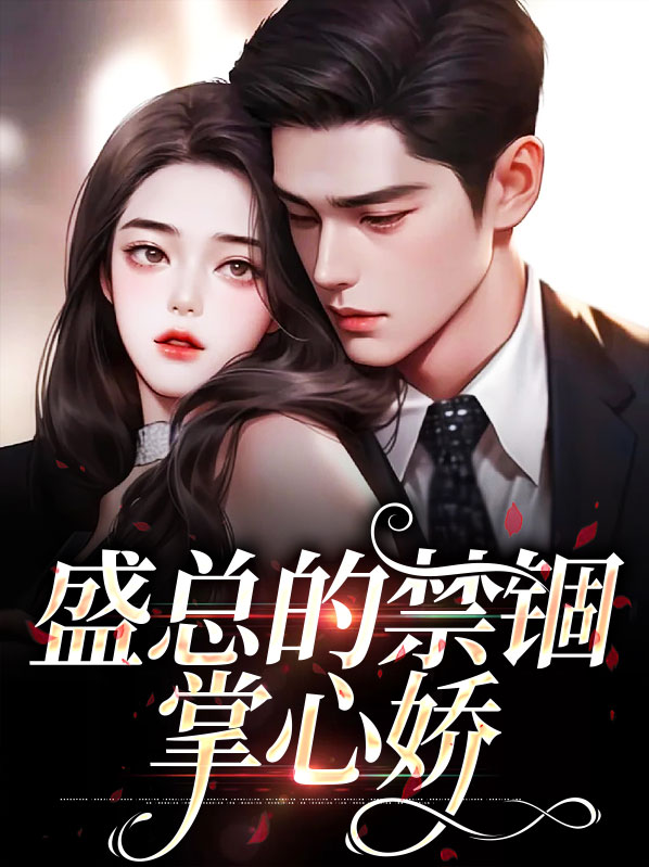 盛总裁小说