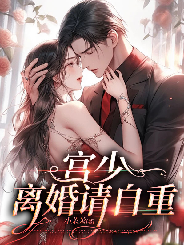 宫少重生文叫什么名字
