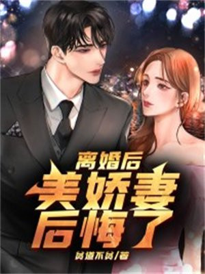 离婚后又美又飒小说