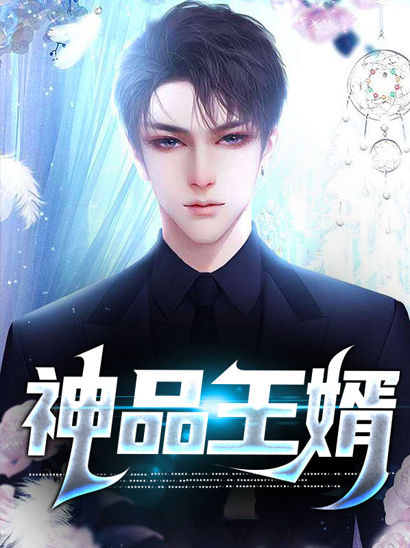 超品王婿