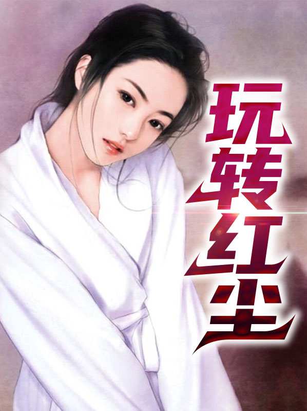 玩转红尘小说