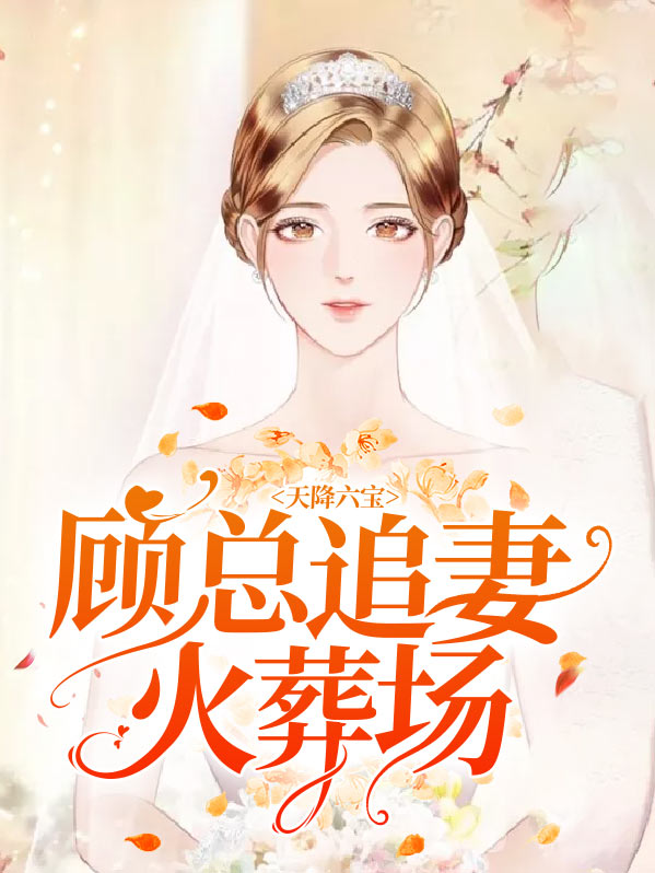 天降六宝顾总追妻火葬场下载
