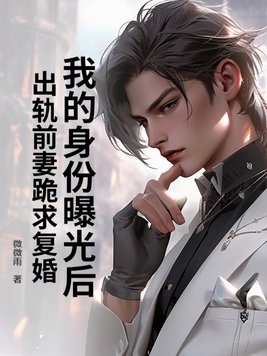 我的前妻不好惹