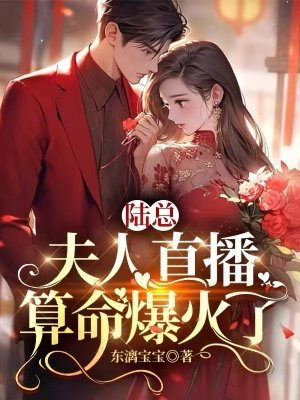 夫人直播算命攒功德的小说