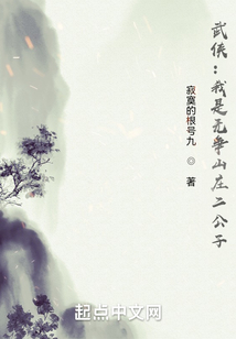 武侠我是无争山庄二公子