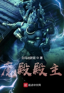魔殿殿主小说