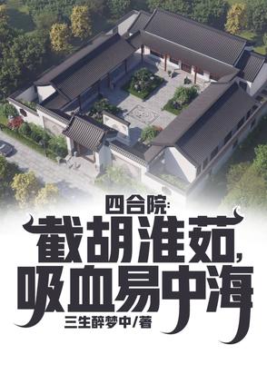 老的四合院