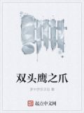 双头鹰的眼睛