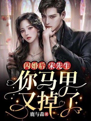 小说宋先生,离婚吧