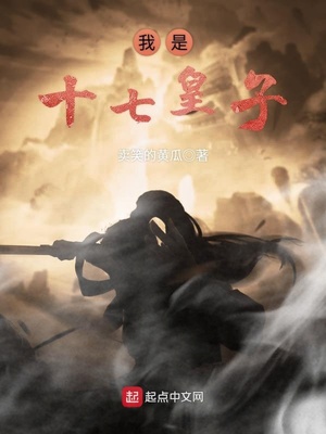 我是十七皇子 小说