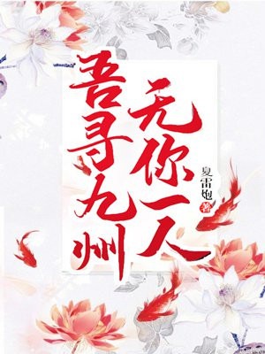 吾寻九州,无你一人txt百度云
