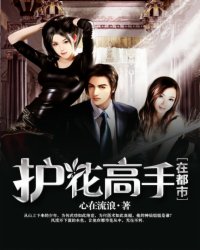 护花高手在都市TXT小说下载