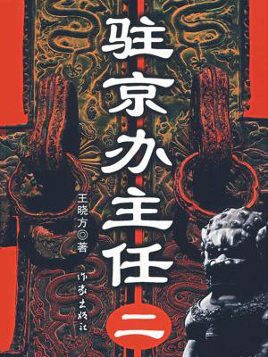 驻京办主任(二)