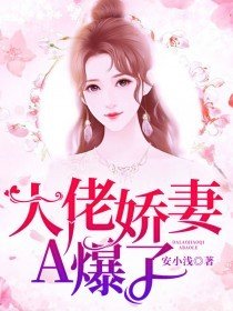 大佬娇妻太难追 小说