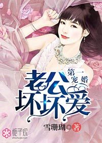 第一宠婚,老公坏坏爱小说