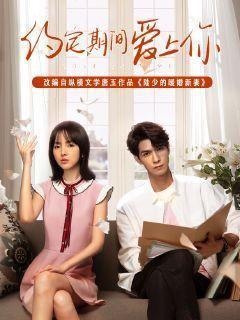 陆少的暖婚新妻免费阅读全文总裁好好爱