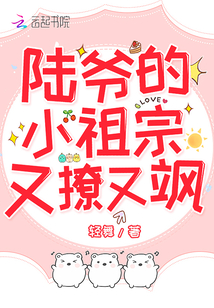 陆爷的小祖宗又撩又飒小说在线阅读
