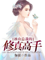 冰山总裁的修真高手txt