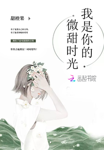 我是你的微甜时光是什么歌