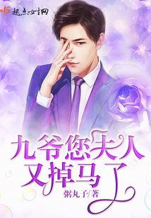 九爷您夫人又掉马了全文免费阅读