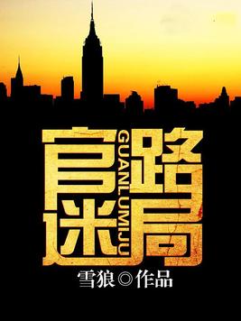 官路迷局小说全文免费下载