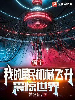 我的领主是重生的
