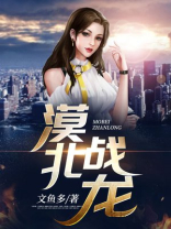 漠北战龙小说