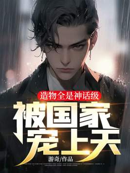 造物主的小说