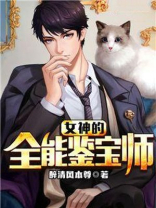 女神的全能鉴宝高手叶枫免费阅读