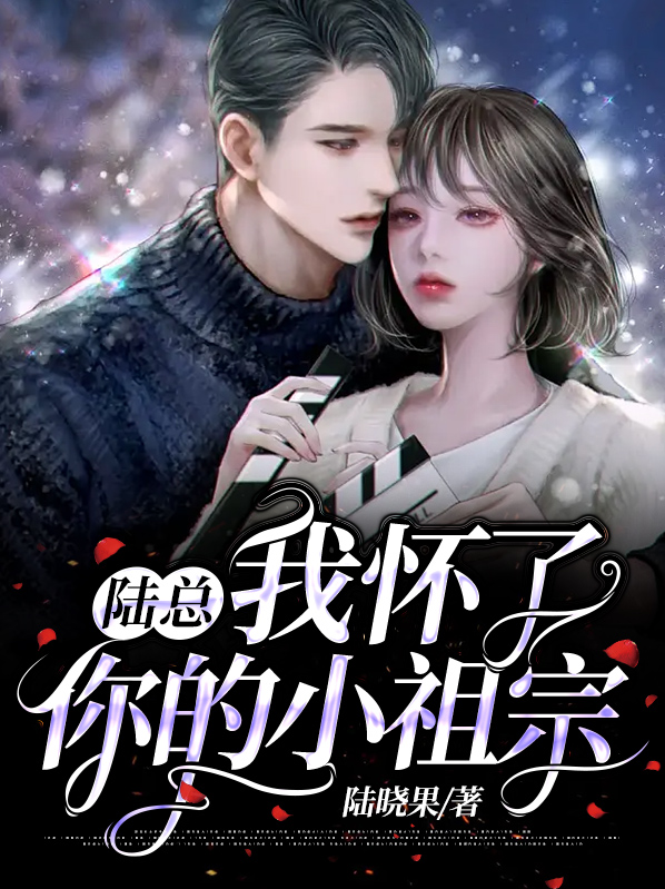 陆总我怀了你的小祖宗全集短剧免费阅读