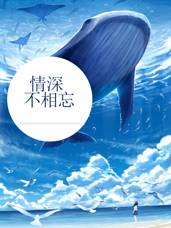情深不相许全文免费阅读