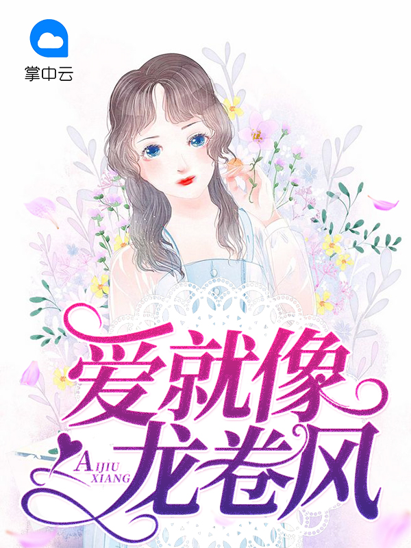 爱就像龙卷风小说