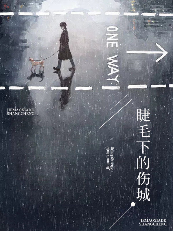 睫毛下的伤城 小说