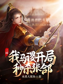 三国我马谡开局秒杀张A精校