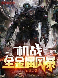 机战:全金属风暴小说