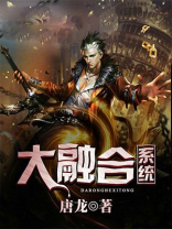 大融合系统 聚合中文网