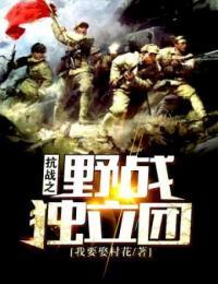 抗战之野战独立团百度云