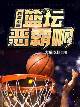 篮坛之我真不是刷子 含义