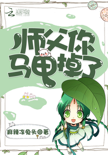 师父你马甲掉了
