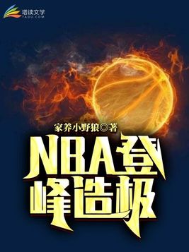 nba登峰造极下载